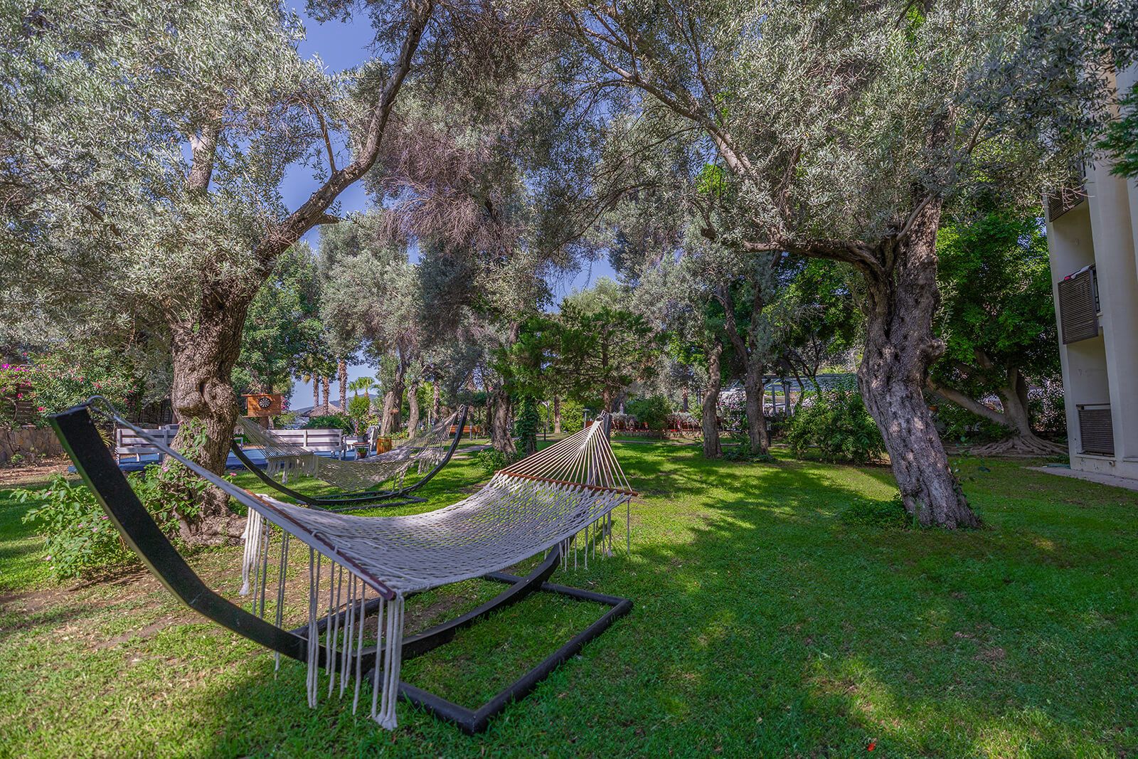 Latanya Park Hotel Galeri 2